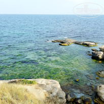 фото из отзыва ID 1772188