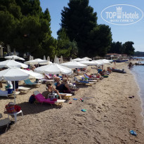 фото из отзыва ID 1772205