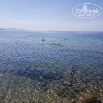 фото из отзыва ID 1772205