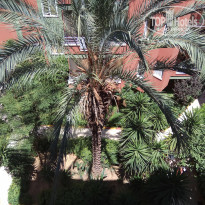 фото из отзыва ID 1772316