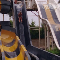 фото из отзыва ID 1772436