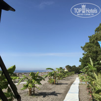 фото из отзыва ID 1772507