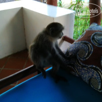 фото из отзыва ID 1772501