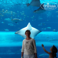 фото из отзыва ID 1772696