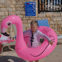 фото из отзыва ID 1772764