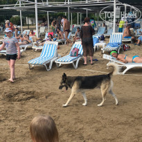 фото из отзыва ID 1772775