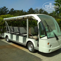 фото из отзыва ID 1772793