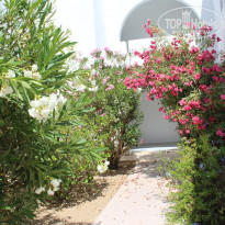 фото из отзыва ID 1772875