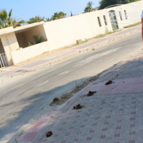 фото из отзыва ID 1772875