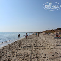 фото из отзыва ID 1772875