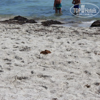 фото из отзыва ID 1772875