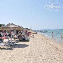 фото из отзыва ID 1772747