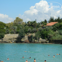 фото из отзыва ID 1772934