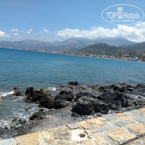 фото из отзыва ID 1772908