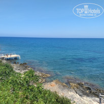 фото из отзыва ID 1772908