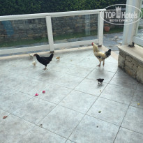 фото из отзыва ID 1772926