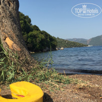 фото из отзыва ID 1772926