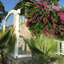 фото из отзыва ID 1772926