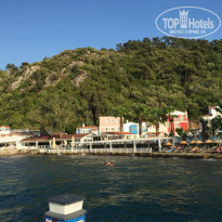 фото из отзыва ID 1772926