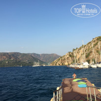 фото из отзыва ID 1772926