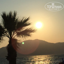 фото из отзыва ID 1772926