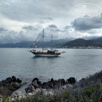 фото из отзыва ID 1772908