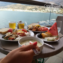 фото из отзыва ID 1772908