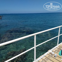 фото из отзыва ID 1772908