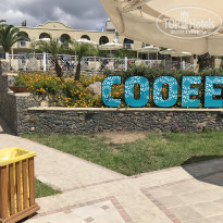 фото из отзыва ID 1772971