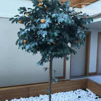 фото из отзыва ID 1773057