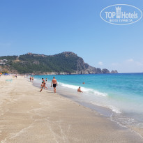 фото из отзыва ID 1773080