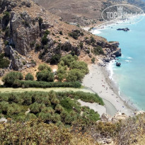 фото из отзыва ID 1773161