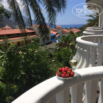 фото из отзыва ID 1773200