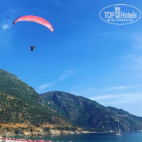 фото из отзыва ID 1773200