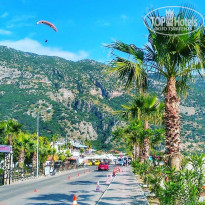 фото из отзыва ID 1773200