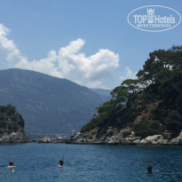 фото из отзыва ID 1773200