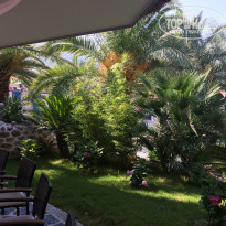 фото из отзыва ID 1773200