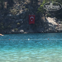 фото из отзыва ID 1773200