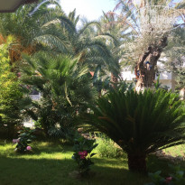 фото из отзыва ID 1773200