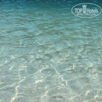 фото из отзыва ID 1773200