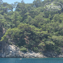 фото из отзыва ID 1773200