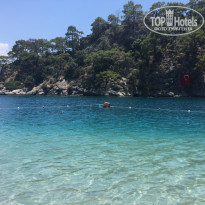 фото из отзыва ID 1773200