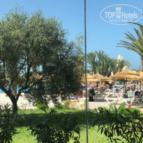 фото из отзыва ID 1773286