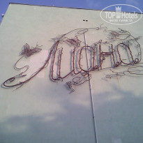 фото из отзыва ID 1771238