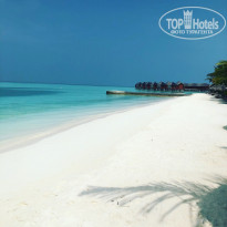 фото из отзыва ID 1773528