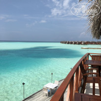 фото из отзыва ID 1773528