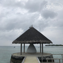 фото из отзыва ID 1773528