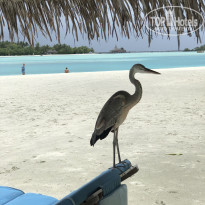 фото из отзыва ID 1773528