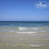 фото из отзыва ID 1773536