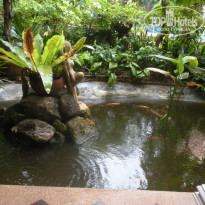 фото из отзыва ID 1773813